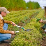 La bioeconomía circular gana fuerza: transformar residuos en recursos ya es clave para la innovación sostenible